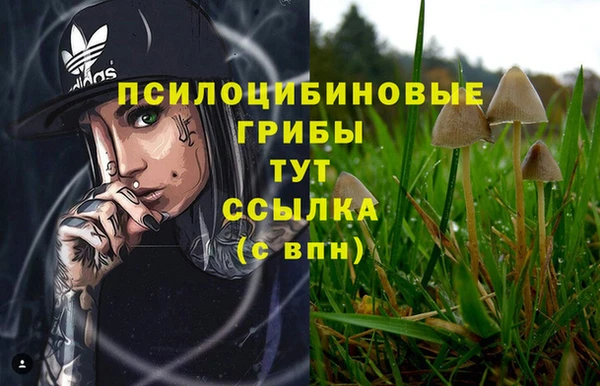 кокаин премиум Медногорск