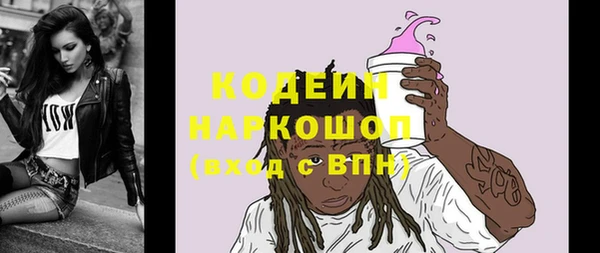 СК Медвежьегорск