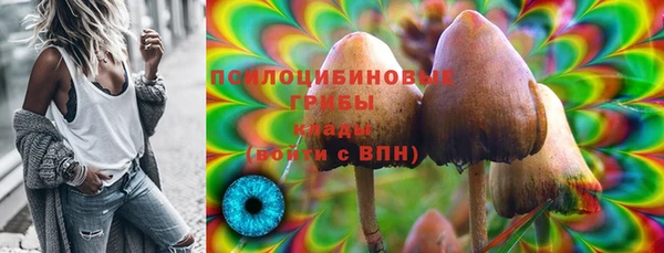 mix Верхний Тагил