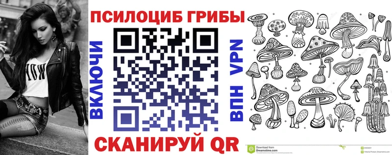 Галлюциногенные грибы Psilocybe  где купить наркотик  Вытегра 